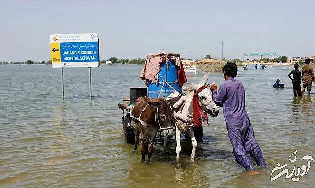آغاز سال نوی میلادی بر هموطنان مسیحی مبارک